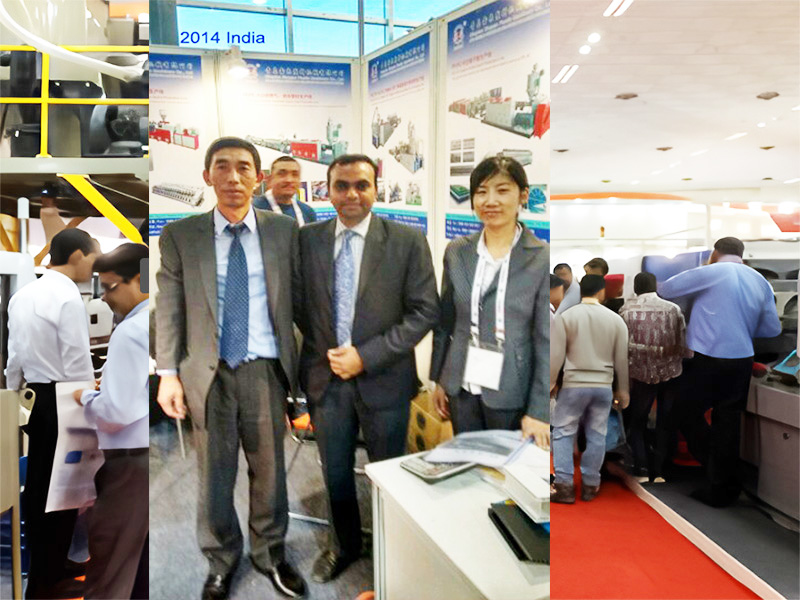 2014 India 拼.jpg