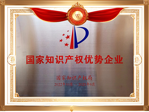 國家知識(shí)產(chǎn)權(quán)優(yōu)勢企業(yè).png